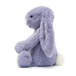 Bashful Bunny Viola, Medium, Jellycat - Gallery Image