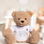 Ben Teddy Bear with T-Shirt, Steiff
