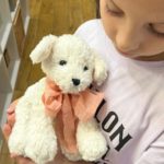 Marshyellow, Oliver Puppy, Strawberry Gelato Bow Tie - Gallery Image