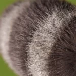 Jellycat Trixiwoo Raccoon - Gallery Image